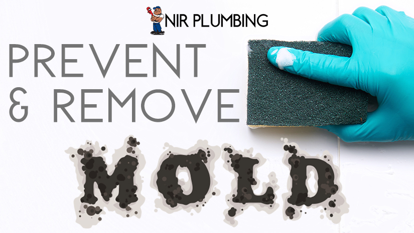 Prevent and Remove Mold