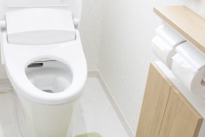 Toilets From Around the World- nirplumbing