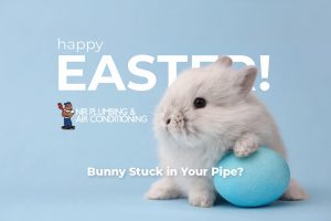 BUNNY IN YOUR PIPE