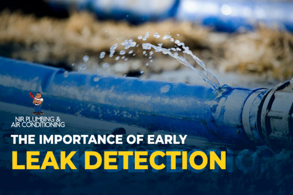 The Importance of Early Leak Detection: How It Can Save You Money and Hassle