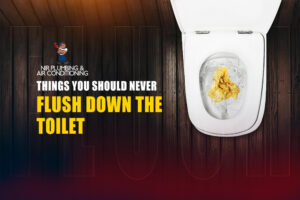 Things You Should Never Flush Down the Toilet